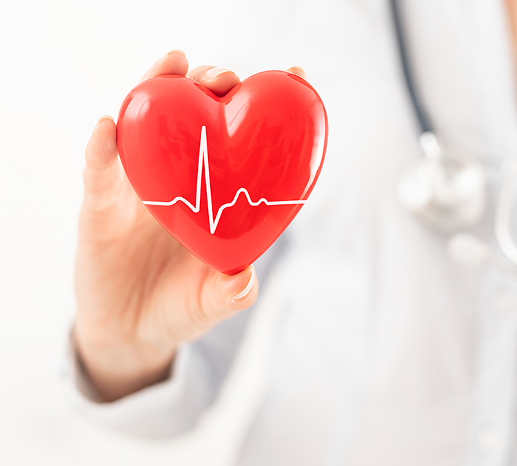 Cardiology Services