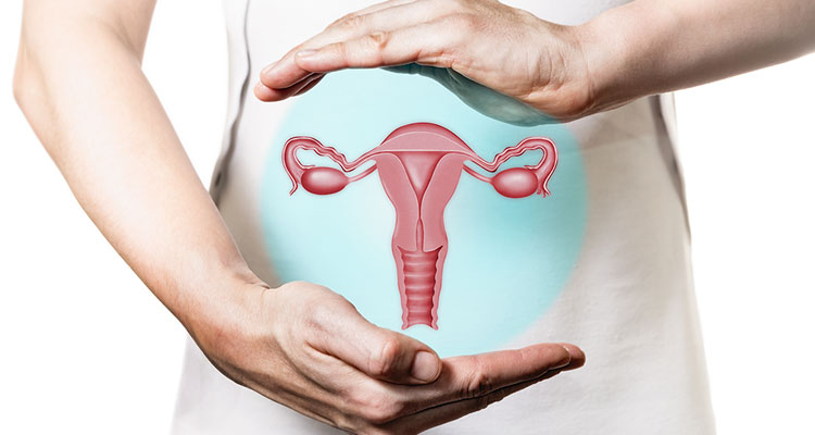 Gynecology Services